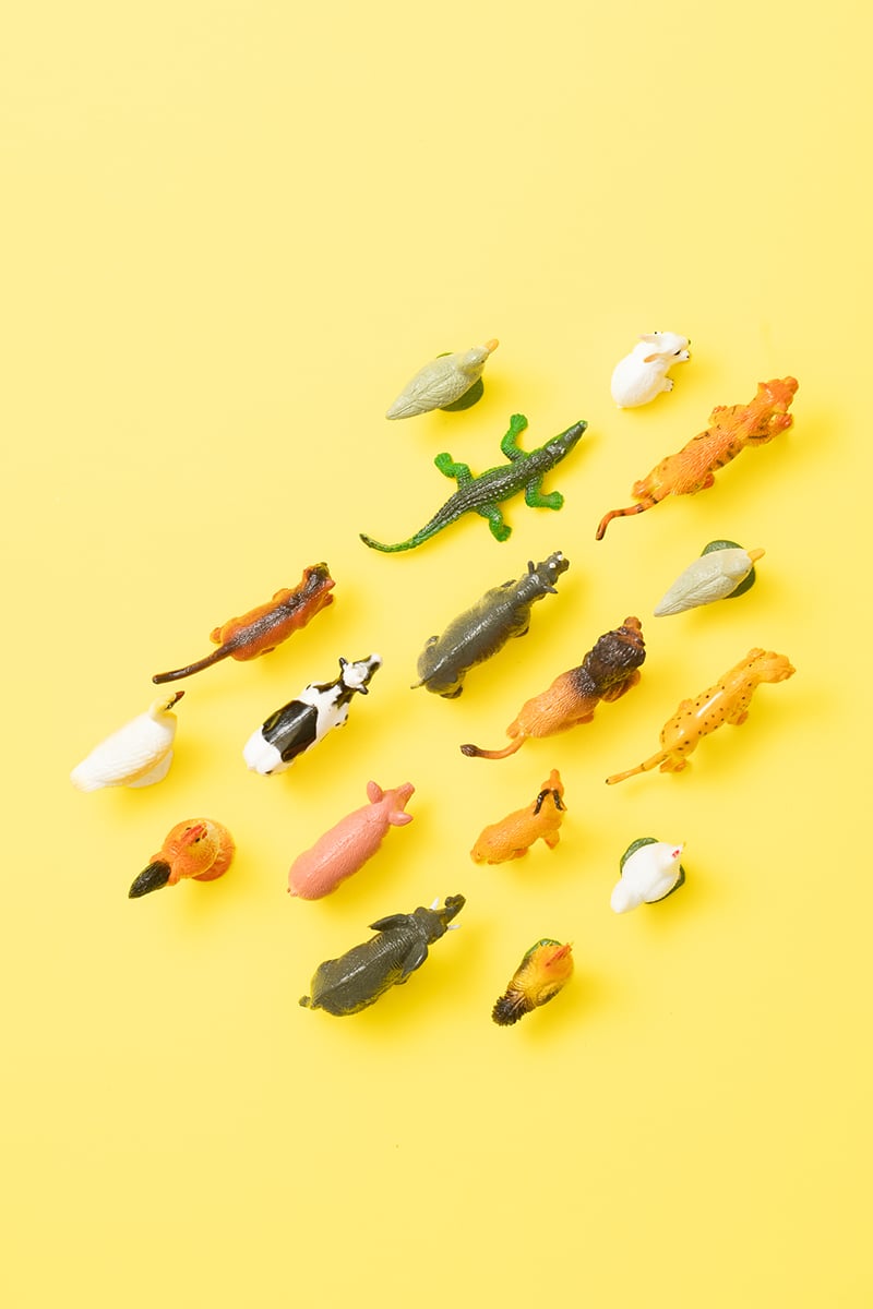 Palvelumuotoilu Palo – palvelumuotoilun havainnollistava kuva - eläimiä