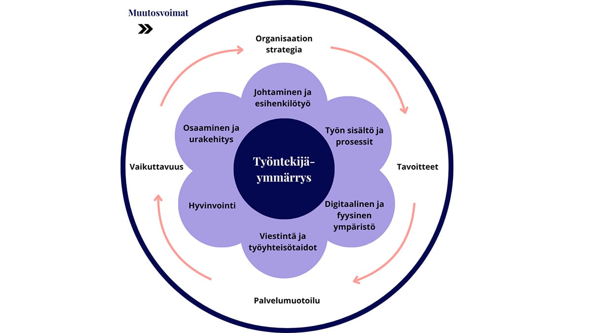 Vaikuttavan työntekijäkokemuksen malli: työntekijäymmärryksen ympärille rakentuvat johtaminen ja esihenkilötyö, työn sisältö ja prosessit, digitaalinen ja fyysinen ympäristö, viestintä ja työyhteisötaidot, hyvinvointi sekä osaaminen ja urakehitys. Malli yhdistää nämä organisaation strategiaan, tavoitteisiin, palvelumuotoiluun ja vaikuttavuuteen.